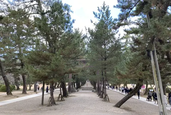 出雲大社の写真・動画_image_707359