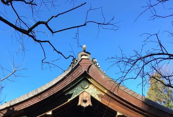 愛宕神社の写真・動画_image_707819
