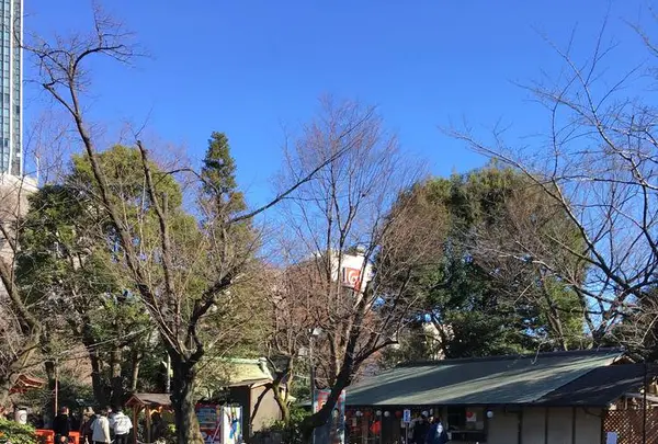 愛宕神社の写真・動画_image_707820