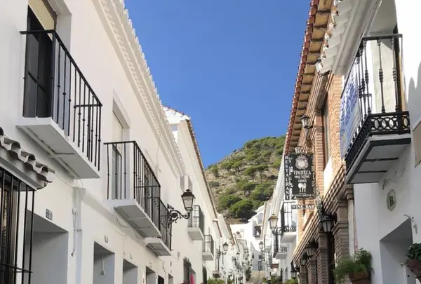 ミハスの写真・動画_image_707933