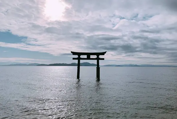 白鬚神社の写真・動画_image_708430