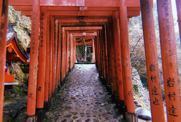 祐徳稲荷神社の写真・動画_image_708925