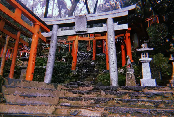 祐徳稲荷神社の写真・動画_image_708926