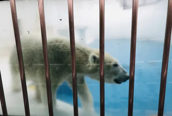 熊本市動植物園の写真・動画_image_710160