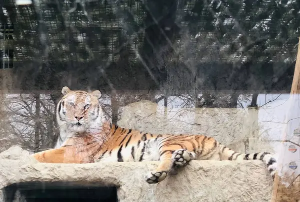 熊本市動植物園の写真・動画_image_710161