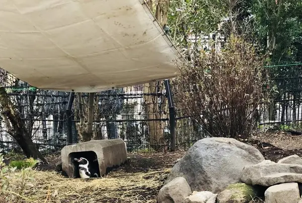 熊本市動植物園の写真・動画_image_710164