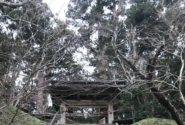 飯高寺（飯高檀林跡）の写真・動画_image_711624