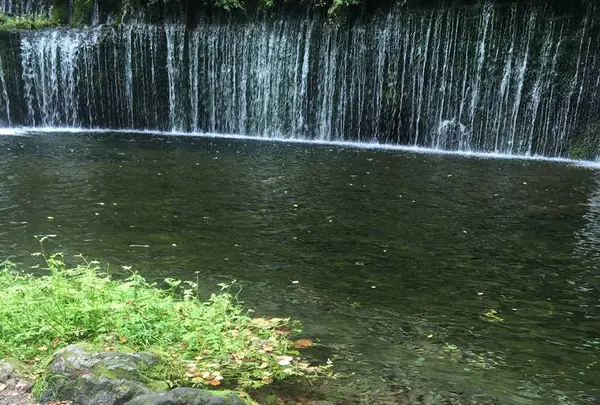 白糸の滝の写真・動画_image_712601