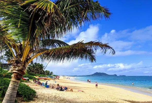 ラニカイ・ビーチの写真・動画_image_715289