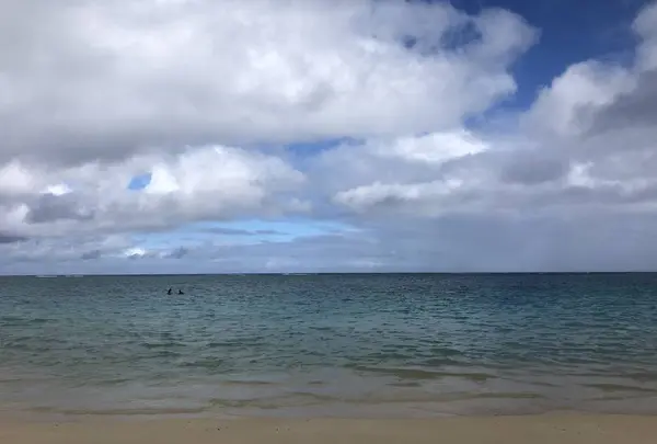 ラニカイ・ビーチの写真・動画_image_715291