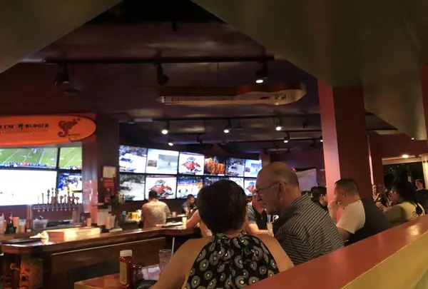 Cheeseburger In Paradiseの写真・動画_image_715299