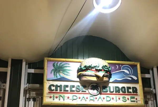 Cheeseburger In Paradiseの写真・動画_image_715300