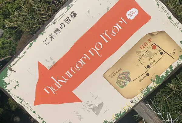 ぬくもりの森の写真・動画_image_715614