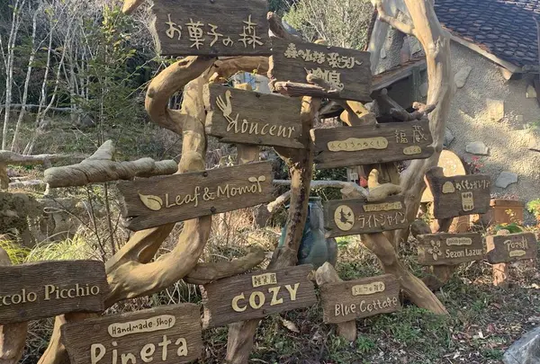 ぬくもりの森の写真・動画_image_715618