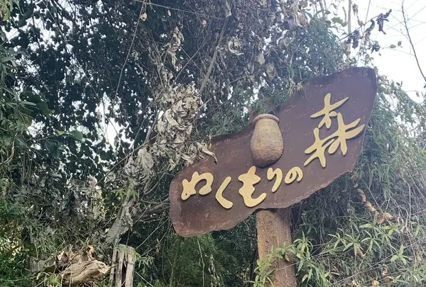 ぬくもりの森の写真・動画_image_715619