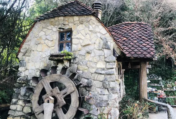 ぬくもりの森の写真・動画_image_715620