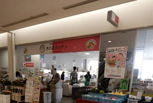 木の花ガルテンももち浜店