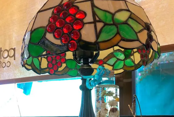 ポットリーの写真・動画_image_722290
