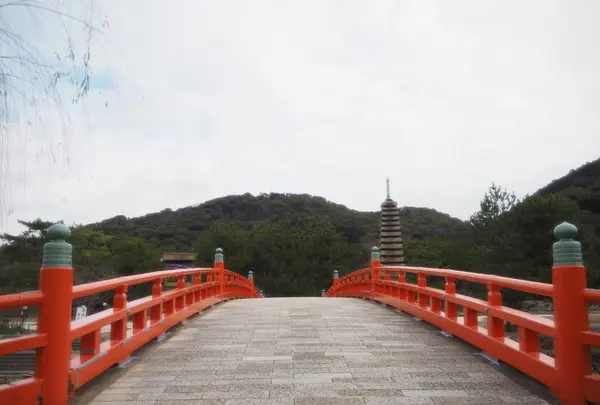 喜撰橋の写真・動画_image_722394