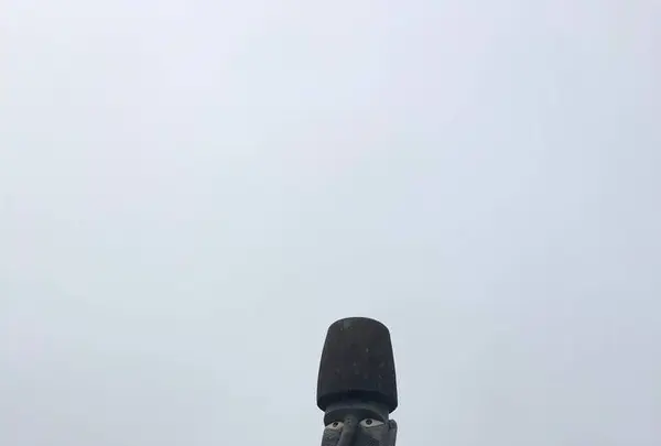 いしのまき元気いちばの写真・動画_image_722970