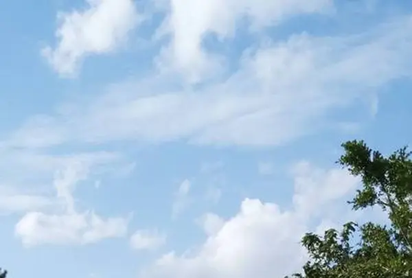 沖縄の写真・動画_image_723597