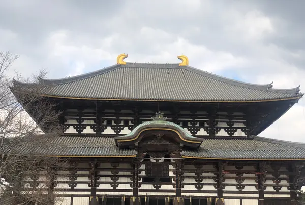 奈良の写真・動画_image_724893