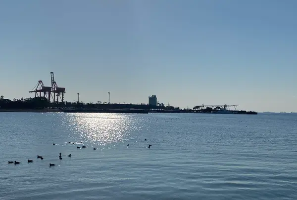 千葉ポートタワーの写真・動画_image_725898