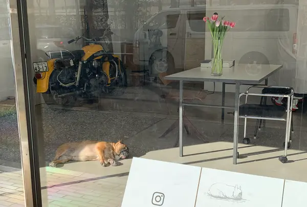 Faith Coffee Company（フェイス コーヒー カンパニー）の写真・動画_image_728475