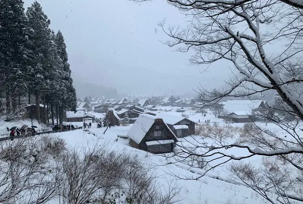 白川郷の写真・動画_image_728693