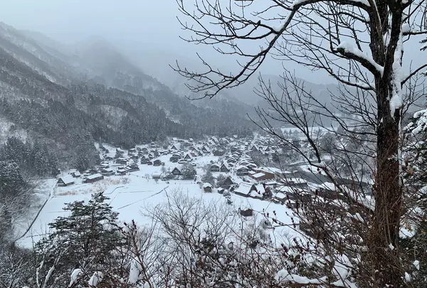 白川郷の写真・動画_image_728694