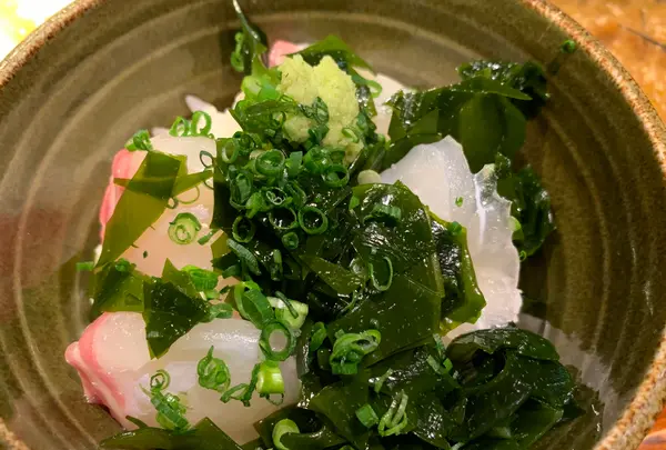 鯛樹の写真・動画_image_731483