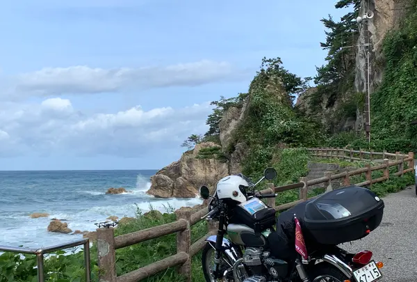 笹川流れ遊覧船の写真・動画_image_732208