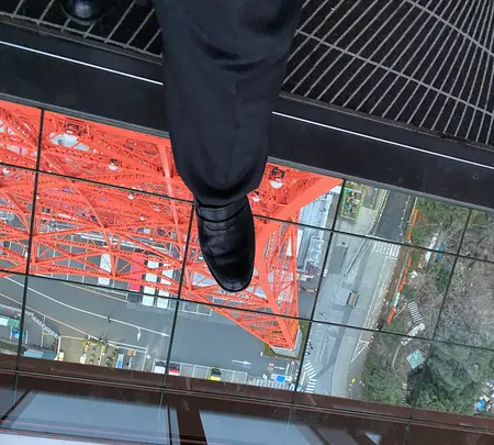 東京タワーの写真・動画_image_734122