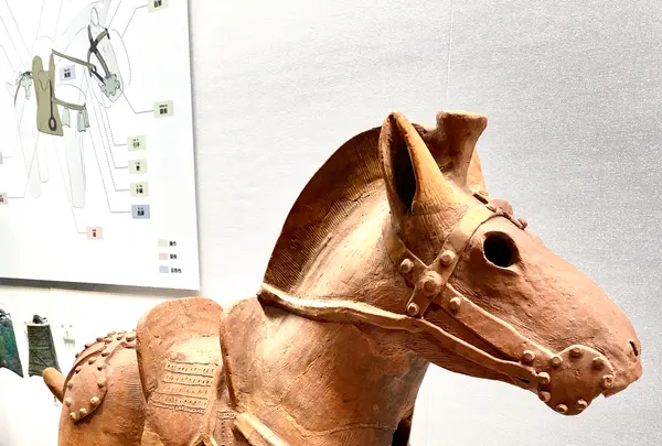 東京国立博物館 本館の写真・動画_image_734140