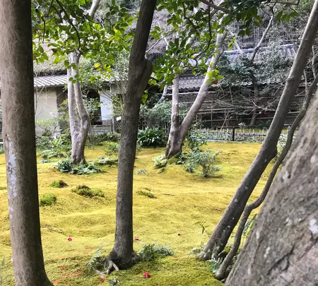 祇王寺の写真・動画_image_734437