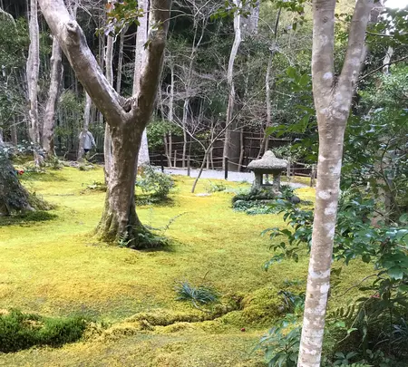 祇王寺の写真・動画_image_734440