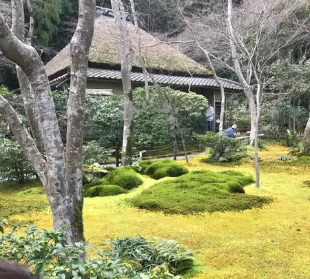 祇王寺の写真・動画_image_734442