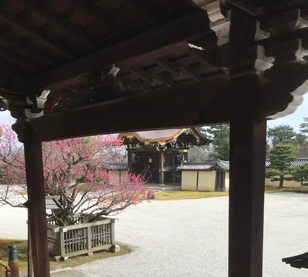 大覚寺の写真・動画_image_734444