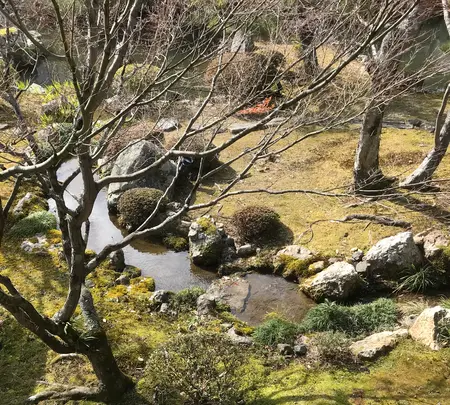 大覚寺の写真・動画_image_734449