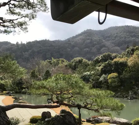 天龍寺の写真・動画_image_734454