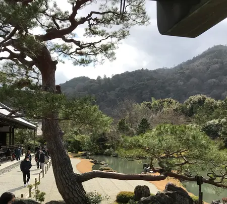 天龍寺の写真・動画_image_734458