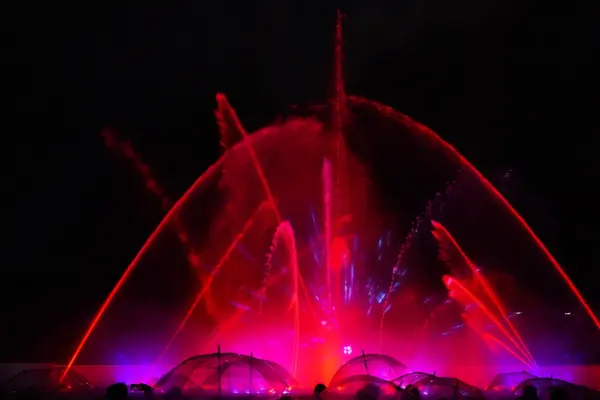 御殿場高原時之栖 ひかりのすみか 第一会場の写真・動画_image_735133