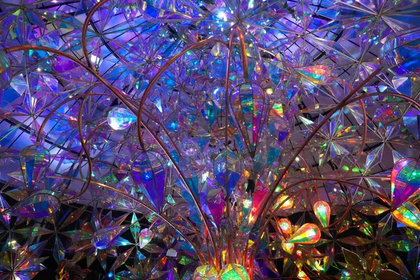 御殿場高原時之栖 ひかりのすみか 第一会場の写真・動画_image_735140