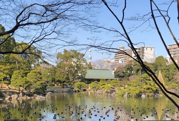 清澄庭園の写真・動画_image_735345