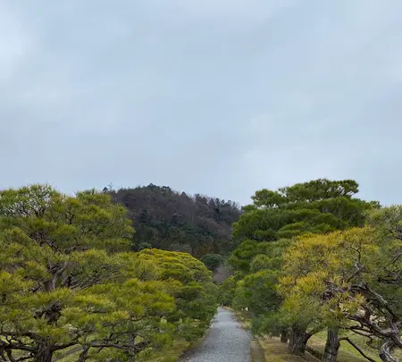 修学院離宮の写真・動画_image_737127
