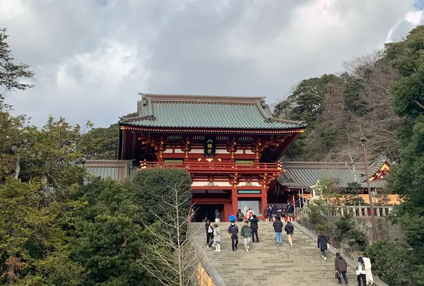 鶴岡八幡宮の写真・動画_image_738108