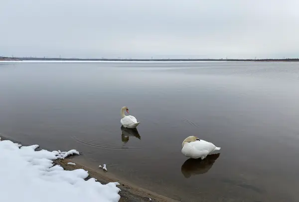 ウトナイ湖の写真・動画_image_738581