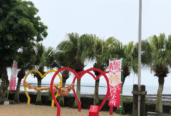 青島神社の写真・動画_image_738688