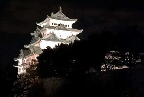 鳥開総本家の写真・動画_image_738823