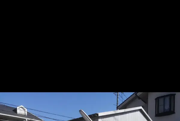 石本農場 たまご直売店 【きいろい庭】の写真・動画_image_739444